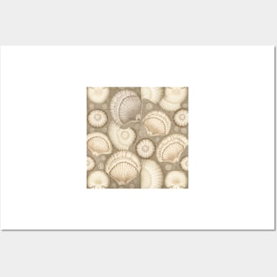 Taupe vintage seashells Posters and Art